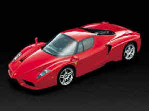enzo.jpg (44469 bytes)